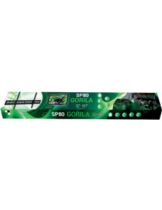SP80 GORILLA 2